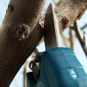 o361801v16 338600 Pro Pruner app closeup 1 16 9 update