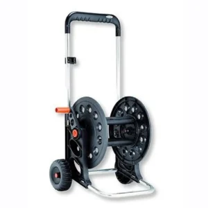 170131008 e1726758314486